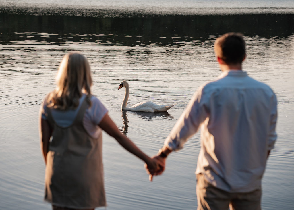 couple holding hands as swan drifts past