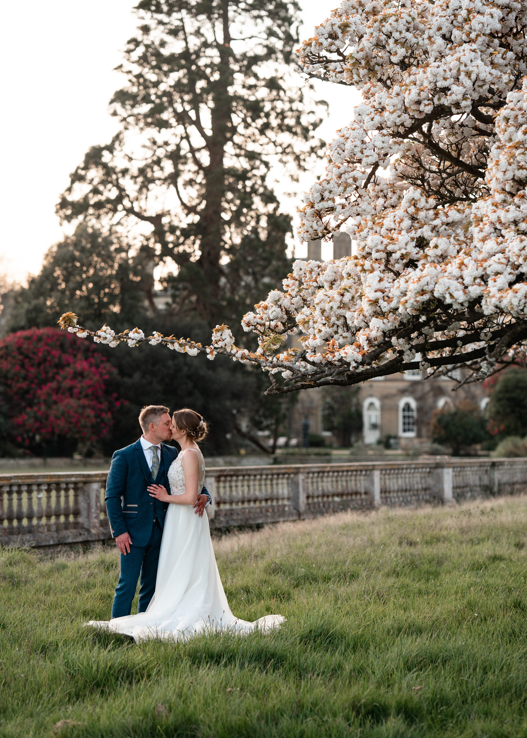 Spring Blossom wedding photos in Pylewell park
